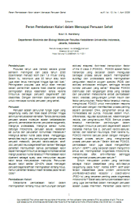 Image of Peran Pembatasan Kalori dalam Mencapai Penuaan Sehat